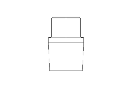 Bouchon R1/4" 1.4571 EN10241