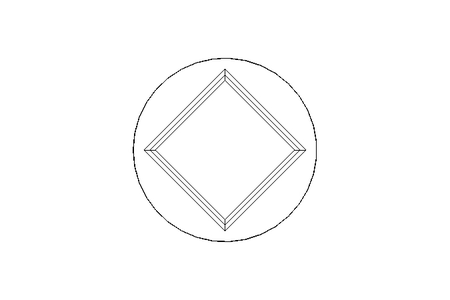 Bouchon R1/4" 1.4571 EN10241