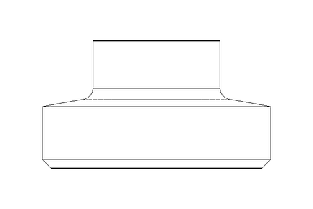 Raccord fileté SC DN25 1.4301 DIN11851