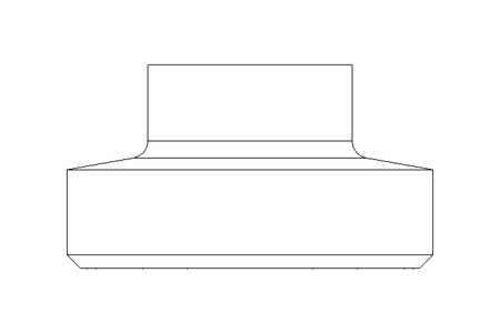 Raccord fileté SC DN25 1.4301 DIN11851