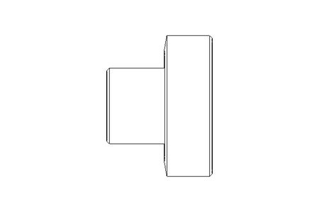 Raccord fileté SC DN10 1.4404 DIN11851