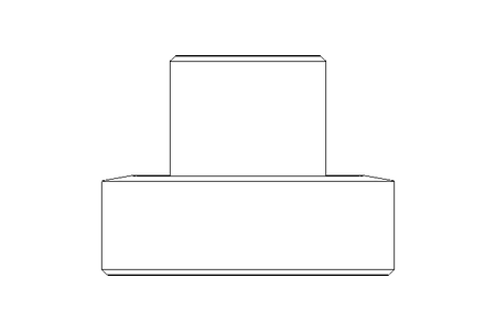 Raccord fileté SC DN10 1.4404 DIN11851