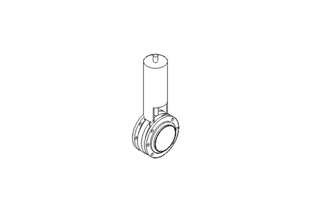 FLAP VALVE-PNEUM. PN10