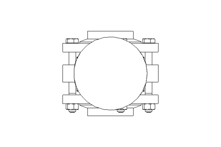 FLAP VALVE-PNEUM. PN10