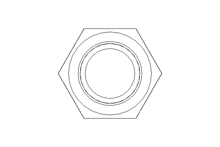 Tornillo cab. hexag. M24x80 A2 50