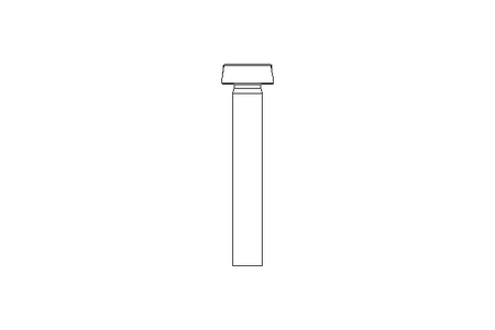 Zyl-Schraube M4x25 A2 ISO1207