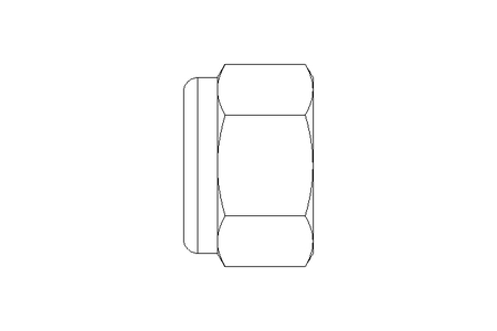 Hexagon nut M12 St-Zn DIN982