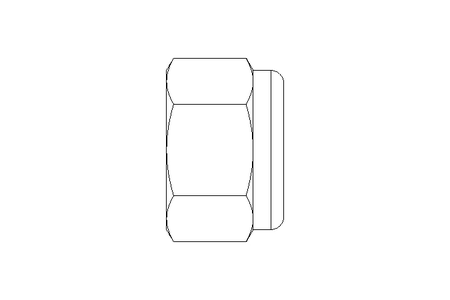 Tuerca hexagonal M12 St-Zn DIN982