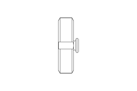 Coperchio DN40 CNS DIN11851