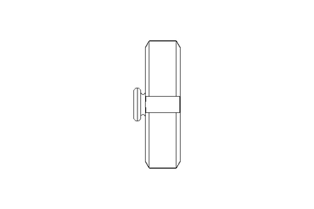 Coperchio DN40 CNS DIN11851