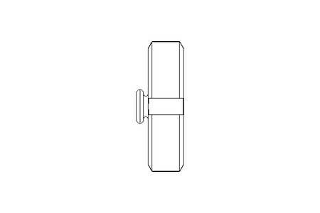 Coperchio DN40 CNS DIN11851