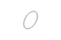 Sealing ring S=16 D=500 MVQ