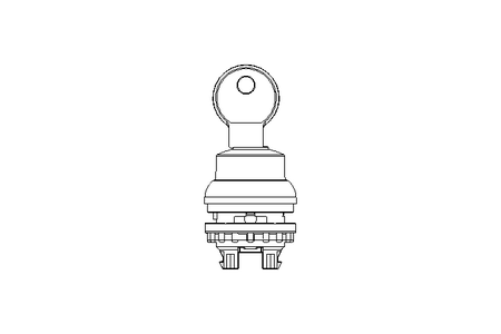 Key-operated button  2 positions